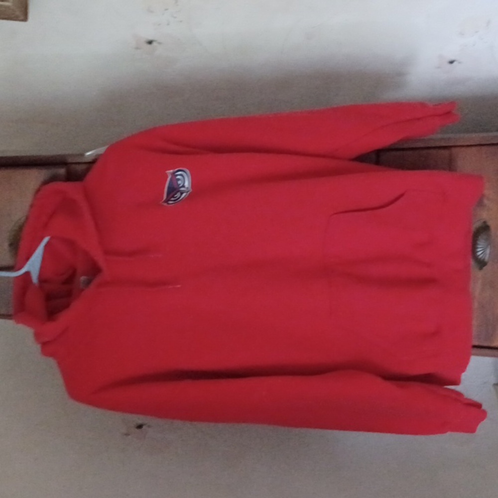 GLIDEN Official FAU RED Pullover Hoodie w/Owl Emblem; LG Unisex, EUC